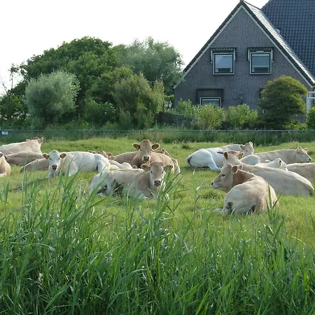 De Korre 2 In *
